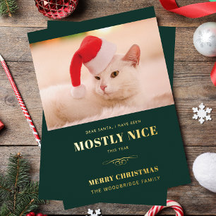 Beste Kerstman Grappige Kat Foto Kerstmis Folie Feestdagenkaart