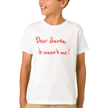 Beste Kerstman Het was ik niet !