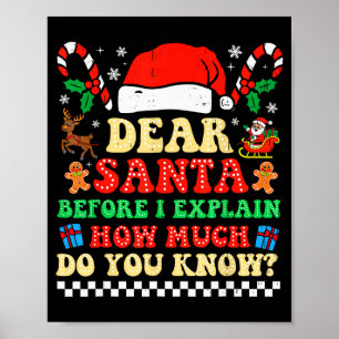Beste Kerstman Ik Kan Het Uitleggen Funny Christma Poster