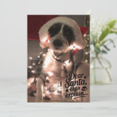 Beste Kerstman, ik kan het uitleggen (hond) Kaart (Staand voorkant)