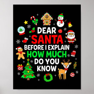 Beste Kerstman Ik Kan Uitleggen Funny Christmas Ma Poster