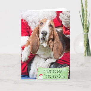 Beste Kerstman kan ik Basset Hound verklaren Feestdagen Kaart