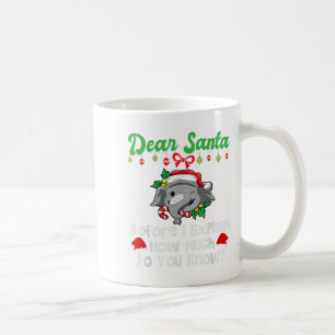 Beste Kerstman Voordat ik het Uitleg Hoeveel Weet Koffiemok
