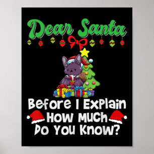 Beste Kerstman Voordat ik het Uitleg Hoeveel Weet Poster