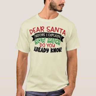 Beste kerstman voordat ik uitleg hoeveel jij weet t-shirt