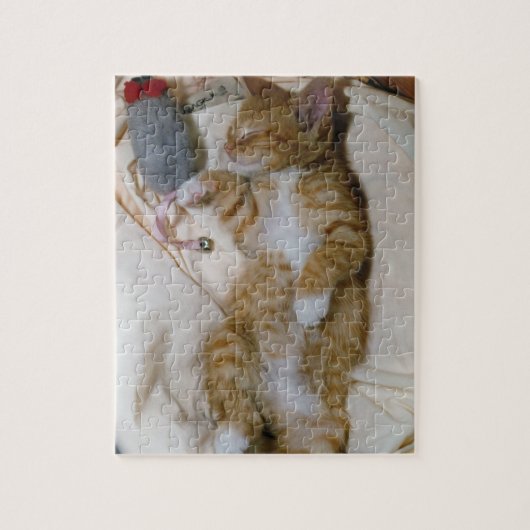 Beste Kitten Puzzle: Butchie Magic Legpuzzel (Verticaal)