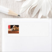 Beste kopen etiket (Insitu)