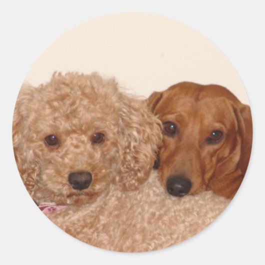 Beste kopen ronde sticker (Voorkant)