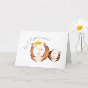 Beste mama ooit! Cavia Moederdag Kaart