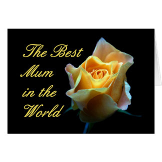 Beste moeder ter wereld