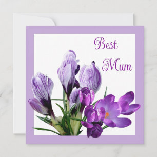 Beste Mum paarse krokus kleurrijke bloemen Kaart