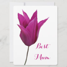 Beste Mum  roze tulp eenvoudige floral elegant