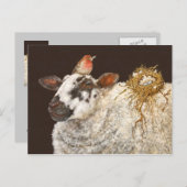 Beste nestbriefkaart briefkaart (Voorkant / Achterkant)