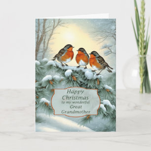 Beste Oma Robins Prettig Kerstfeest Feestdagen Kaart