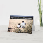 Beste papa! kaart (Achterkant)