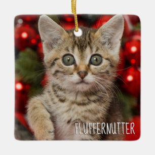 Beste persoonlijke katten voor Afbeelding & naam f Keramisch Ornament