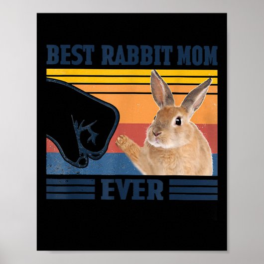 Beste Rabbit mam Ever Moederdag gift Poster (Voorkant)