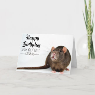 Beste rattenmoeder ter wereld kaart