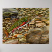 Beste Show 2004 Poster (Voorkant)