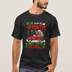 Beste Sinterklaas Breng Pitbull Hond Sinterklaas R T-shirt