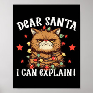 Beste Sinterklaas ik kan het uitleggen De kat deed Poster