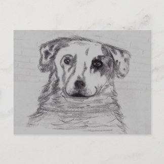 Beste vriend briefkaart