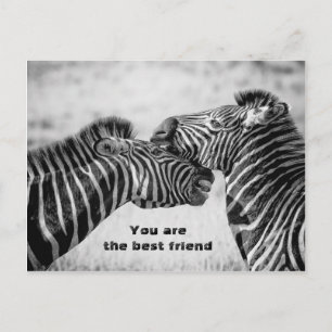 Beste vriend citaat met Zebra's Briefkaart
