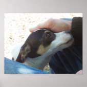 Beste vriend poster (Voorkant)