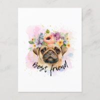 Beste vriend pug voor honden en pugs minnaar