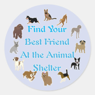 Beste vriend ronde sticker