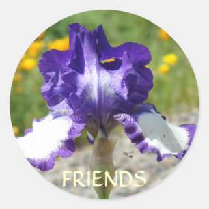 BESTE VRIEND STICKERS Paarse Iris Bloemen Cadeaus