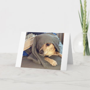 Beste vriend van het dierenasiel is een groet kaart