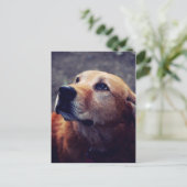 Beste vriend van man briefkaart (Staand voorkant)