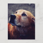 Beste vriend van man briefkaart (Voorkant)