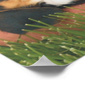 Beste vriend van man poster (Hoek)