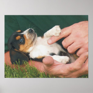 Beste vriend van man poster