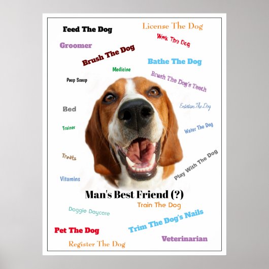 Beste vriend van man (?) poster (Voorkant)