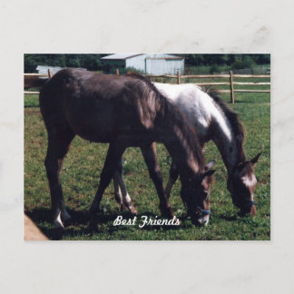 Beste vrienden briefkaart