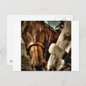 Beste vrienden briefkaart (Voorkant / Achterkant)