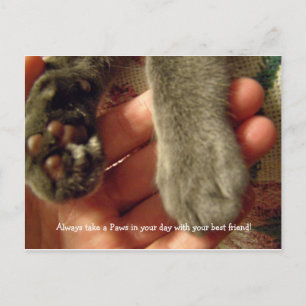 Beste vrienden briefkaart