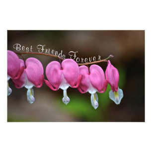 Beste vrienden Forever Foto Afdruk