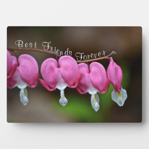 Beste vrienden Forever Fotoplaat