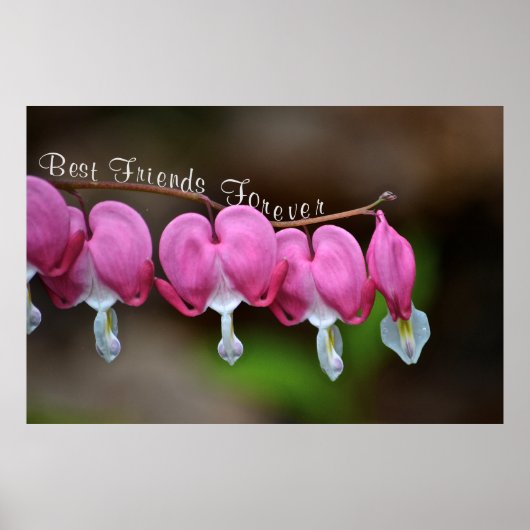 Beste vrienden Forever Poster (Voorkant)