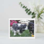 Beste vrienden Fur-ever Briefkaart (Staand voorkant)