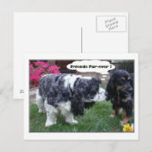 Beste vrienden Fur-ever Briefkaart (Voorkant / Achterkant)