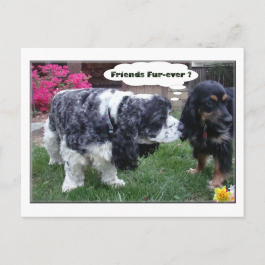 Beste vrienden Fur-ever Briefkaart (Voorkant)