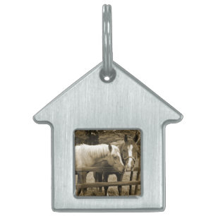 Beste vrienden huisdieren naamplaatje