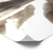 "Beste vrienden" italiaanse windfoto Poster (Hoek)