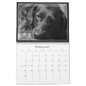 Beste vrienden kalender (Feb 2027)