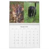 Beste vrienden kalender (Jan 2026)